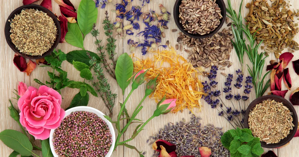 Homeopathy vs Conventional Medicine: Which is Better? Bowls of dried herbs and flowers on a wooden table